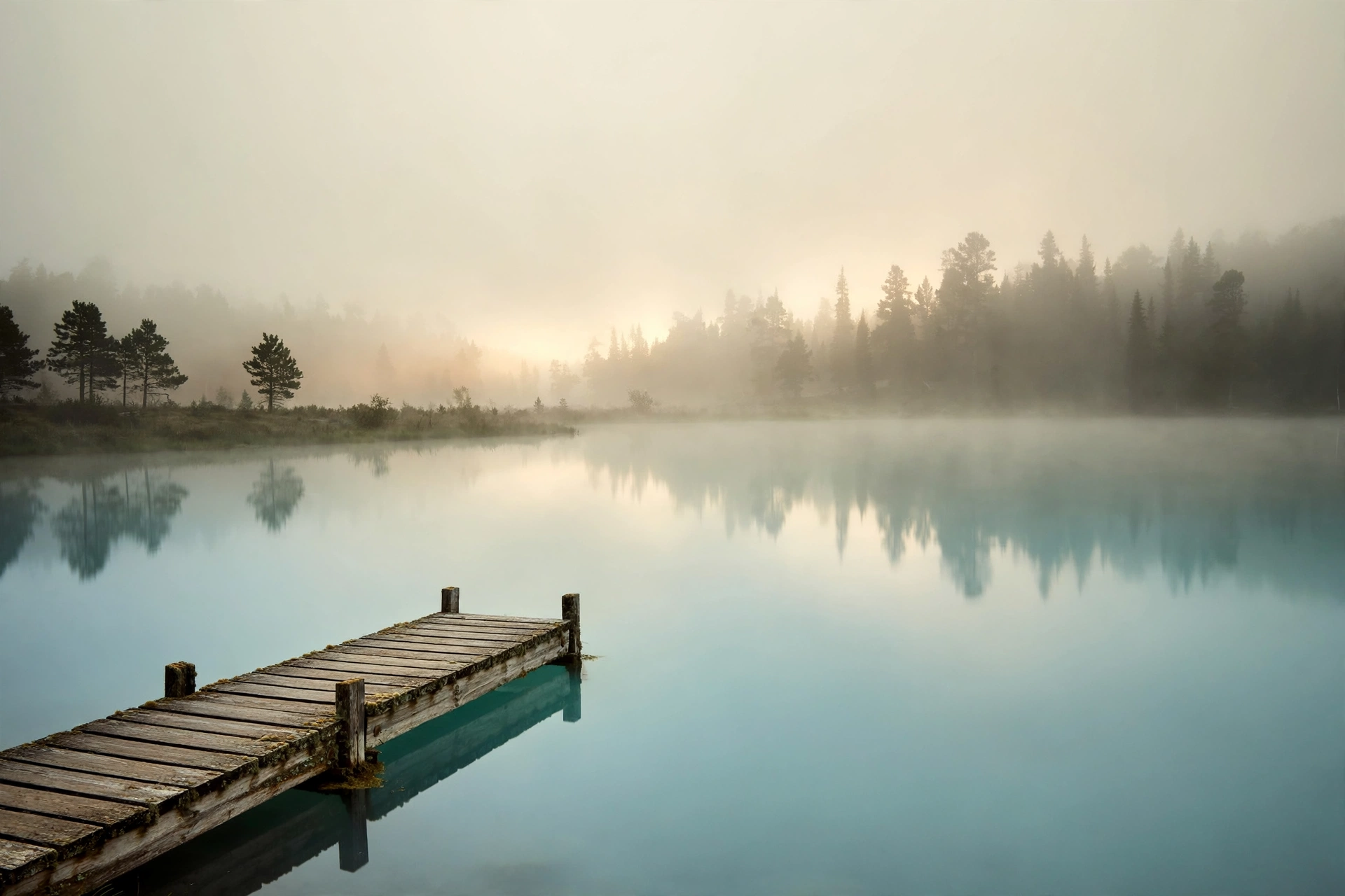 Misty Torch Lake at dawn